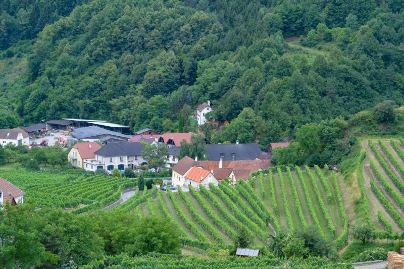 Weinregion Wachau