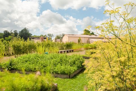 Weine aus der Region Sud-Ouest