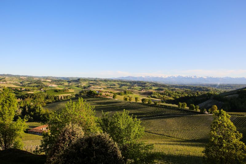 Weingut Elvio Cogno