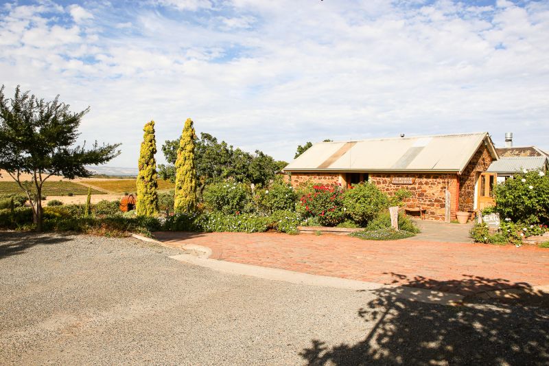 Martel Coriole Vineyards