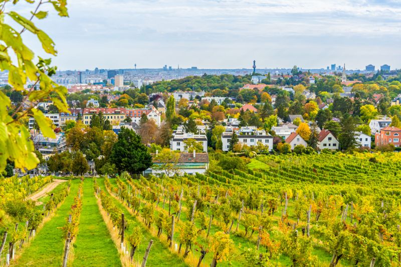 Wein Wien