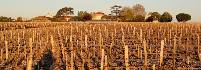Martel AG - Château Lynch-Bages