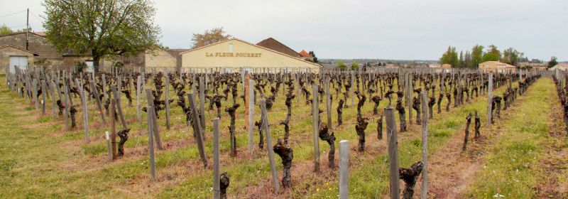 Martel AG - Château La Fleur-Pourret