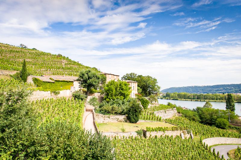 Weingut Château Grillet
