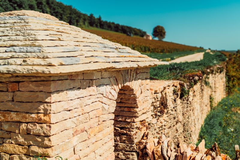 Weine Vignoble des Cabottes