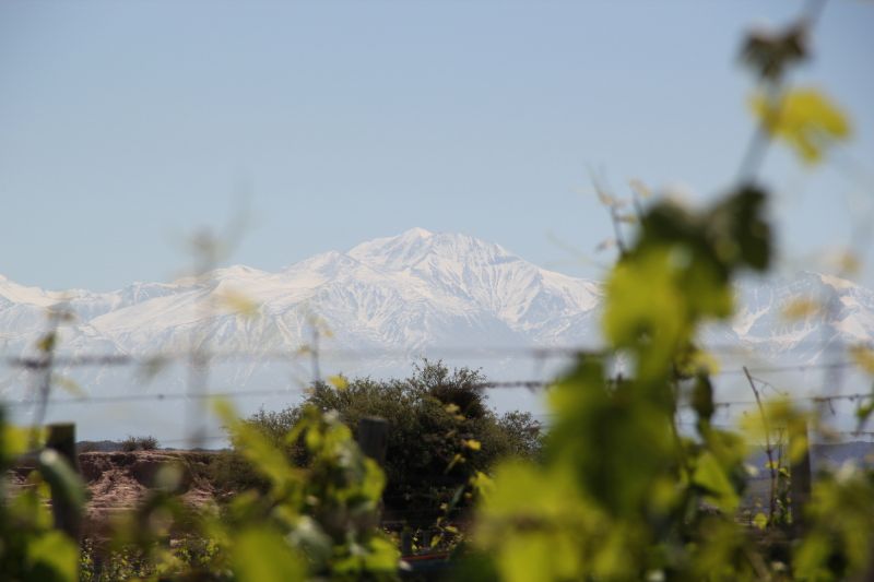 Weine Mendoza