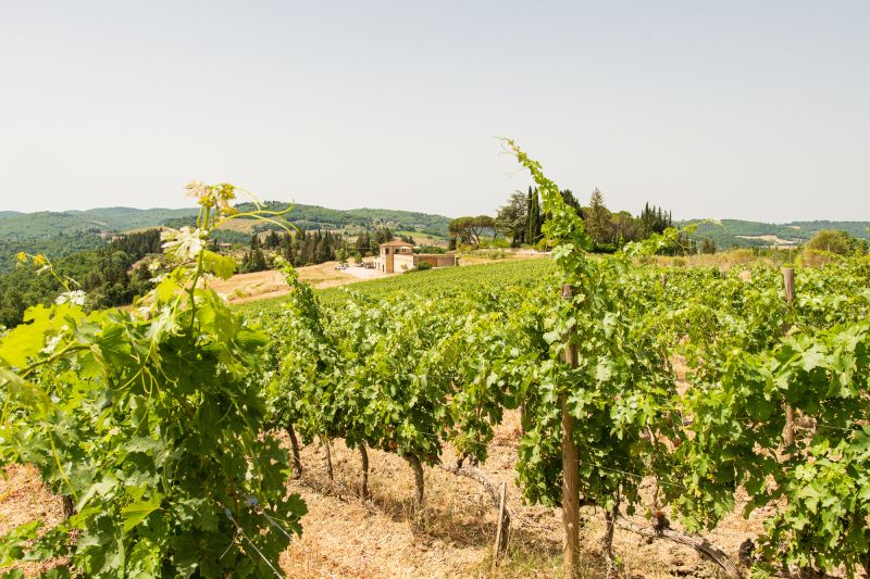 Martel Tenuta La Massa