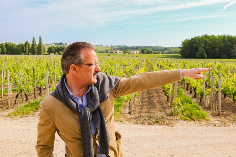 Comtes de Neipperg - Château Canon-la-Gaffelière