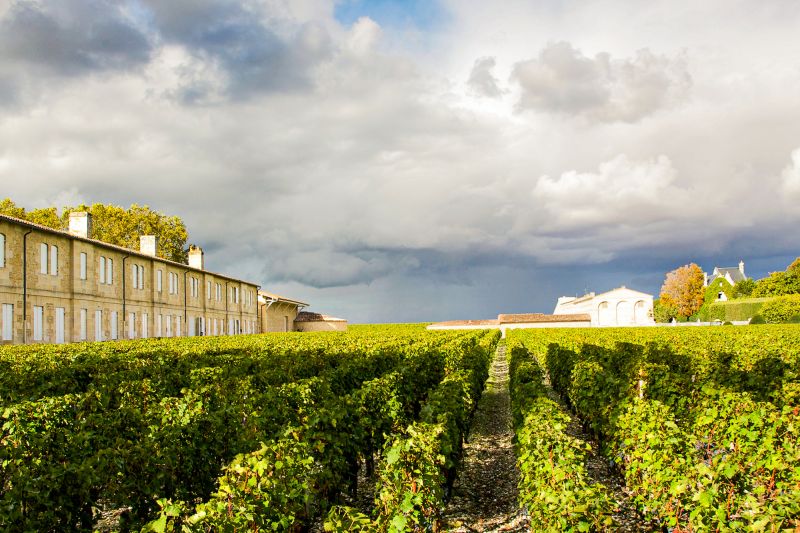 Weine Château Mouton Rothschild