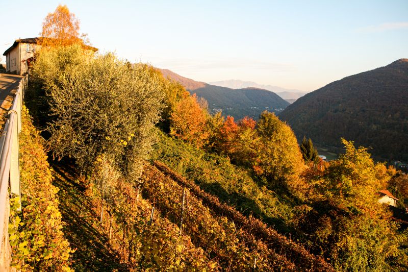 Weingut Huber Vini