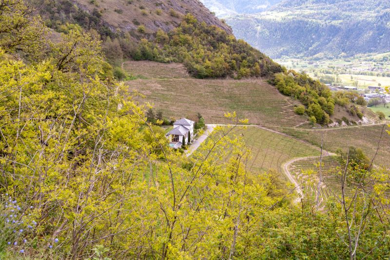 Weingut Domaines Rouvinez