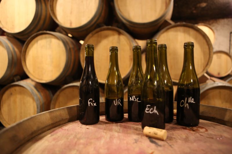 Weine Domaine Jean Tardy