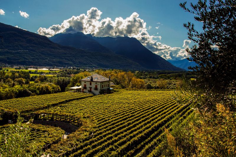Weine Tessin