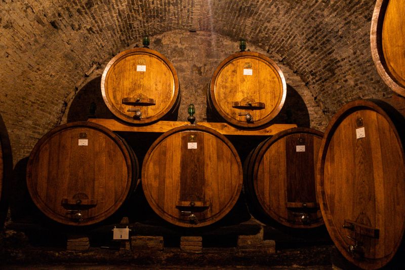 Weingut Contucci