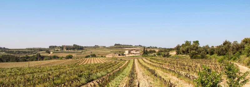 Martel AG - Vins el Cep