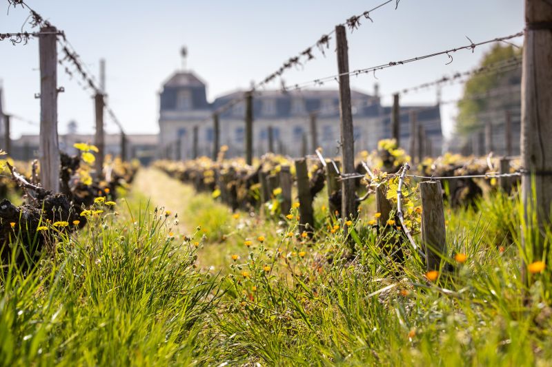 Martel Château La Mission Haut-Brion