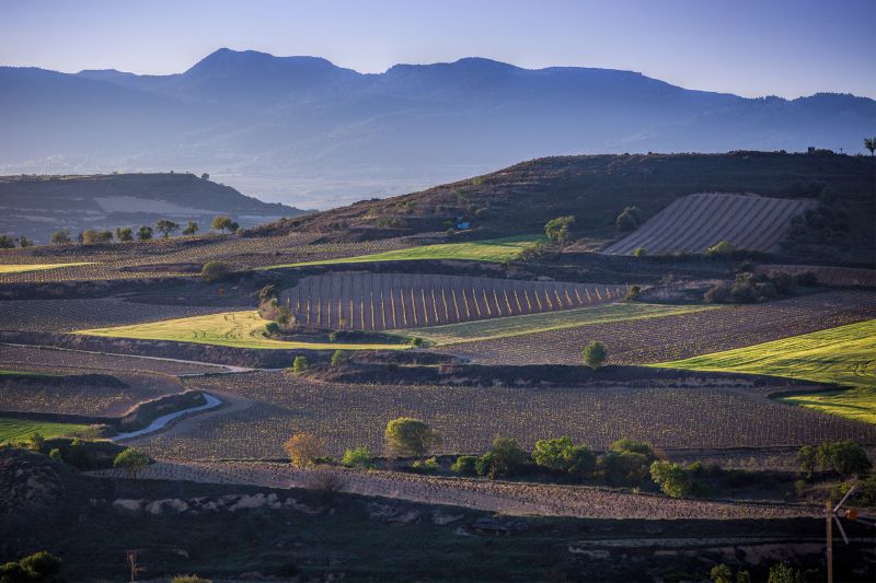 Weine Rioja