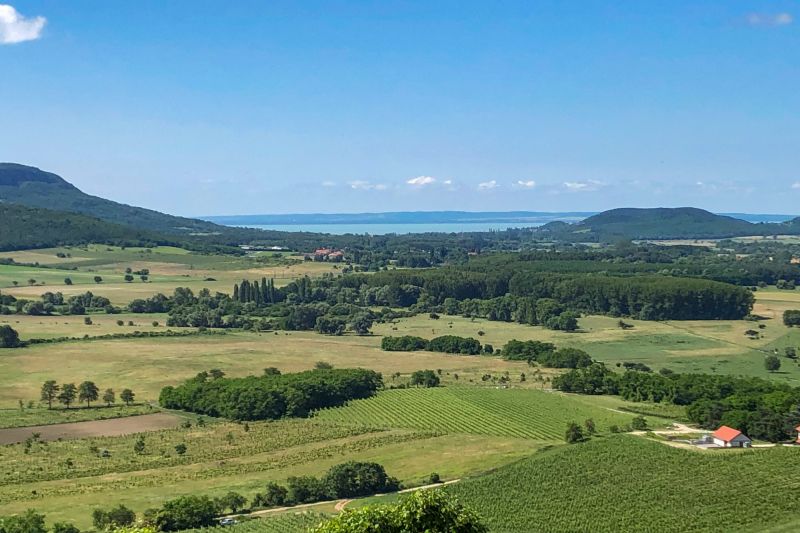 Weine Tokaj