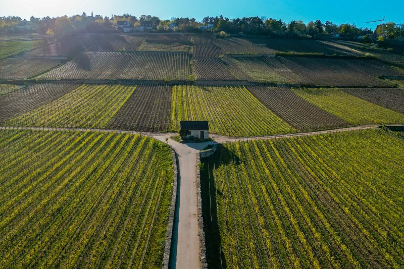 Weingut Vignoble des Cabottes