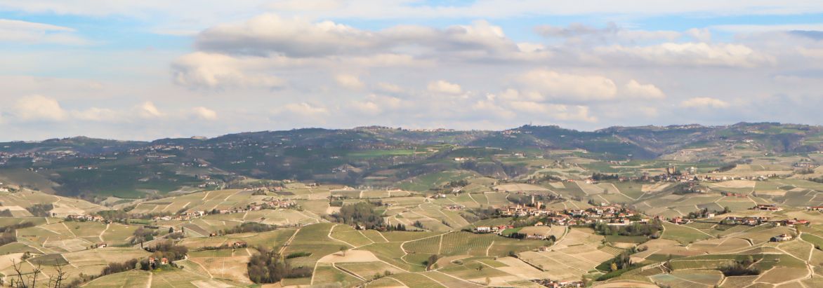 Martel AG - Marcarini