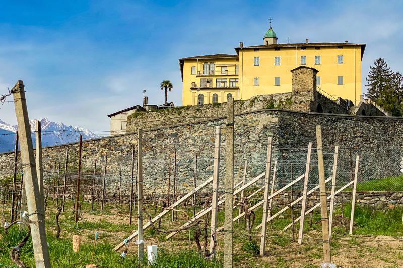Weingut Convento San Lorenzo