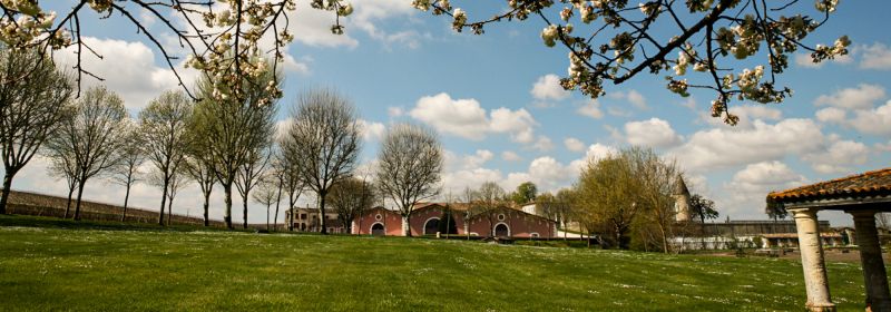 Martel AG - Château Lafite-Rothschild