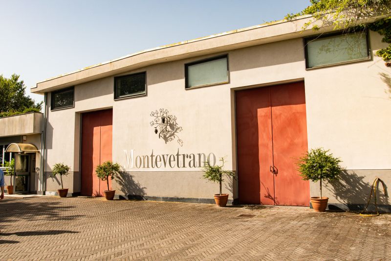 Weingut Montevetrano