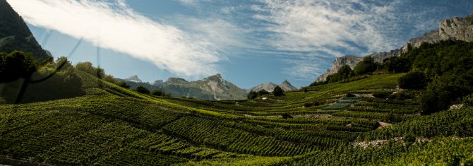 Martel AG - Cave Ardévaz