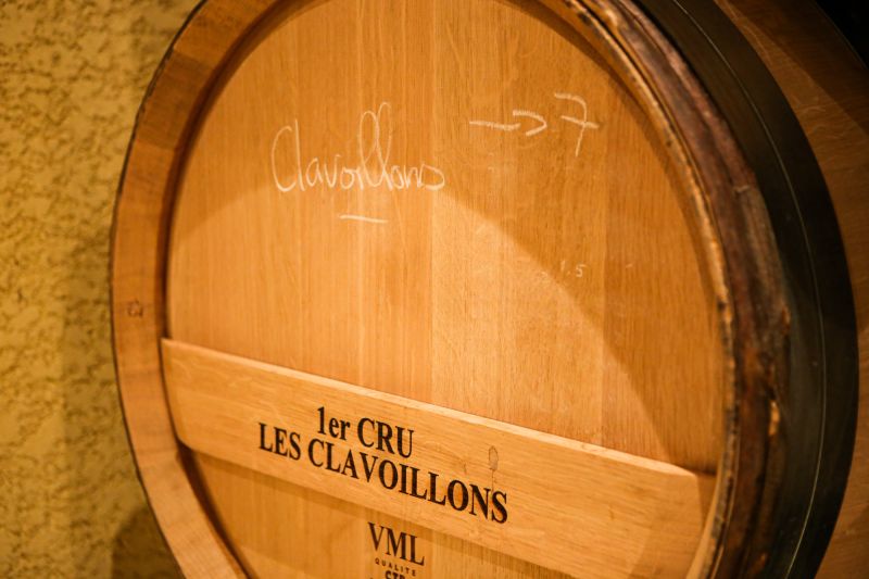Weingut Domaine Jean-Louis Chavy