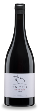 Fläscher Pinot Noir, Intus 2022 Weingut Daniel & Monika Marugg