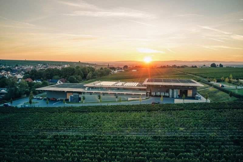 Martel Weingut Dreissigacker