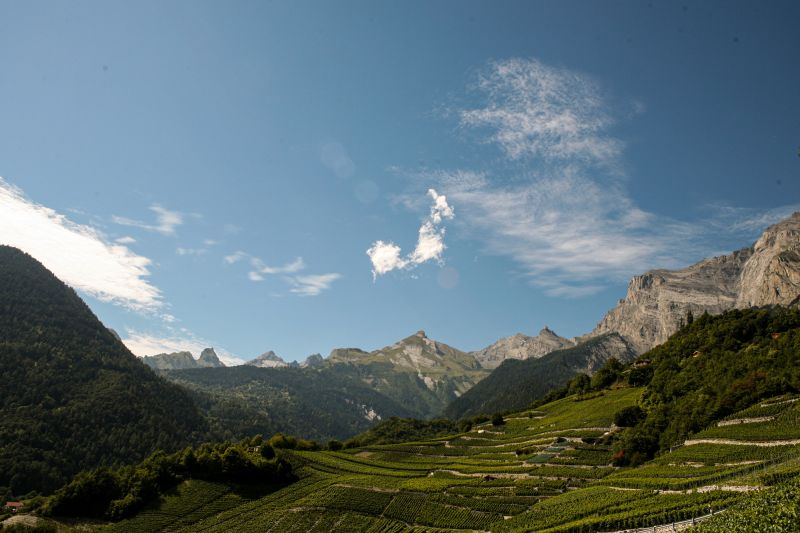 Weine Cave Ardévaz