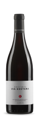 Via Edetana
