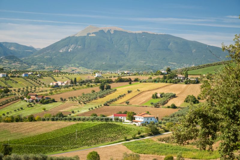 Weinregion Abruzzen