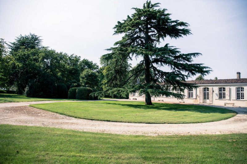 Weingut Château Poujeaux