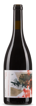 Pinot Noir Hueberberg Chlapf 2022 Weinbau Grob
