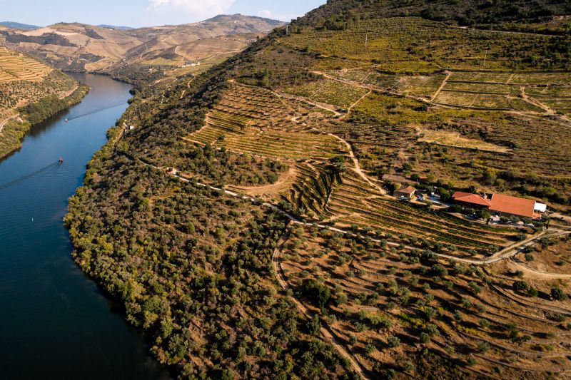 Weingut Quinta das Tecedeiras