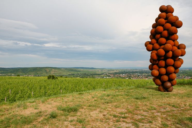 Weine Weingut Bründlmayer