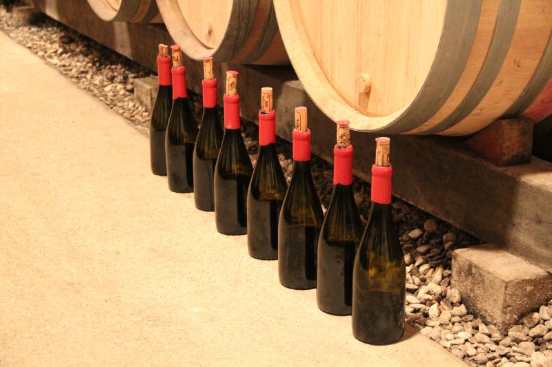 Martel Domaine Fourrier