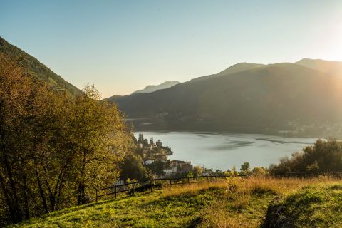 Weine aus der Region Tessin