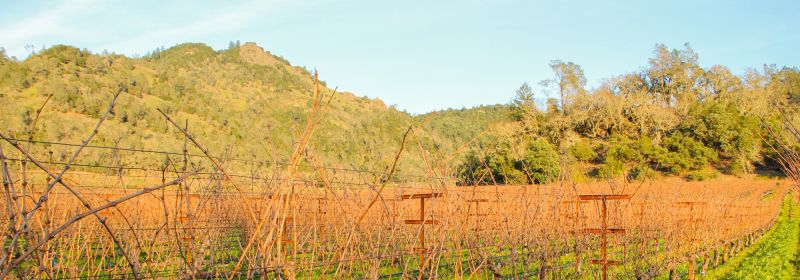 Martel AG - Accendo Cellars