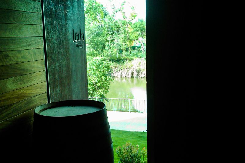 Wein Castilla y Leon