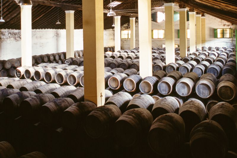 Weingut Bodega Sánchez Romate
