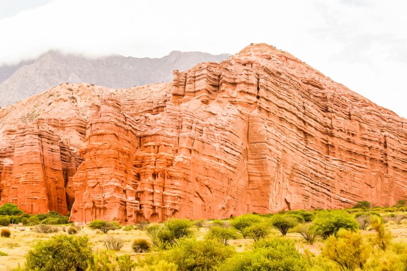 Weine aus der Region Salta