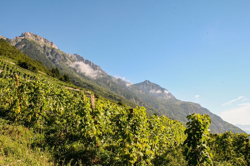Weingut Marie-Thérèse Chappaz