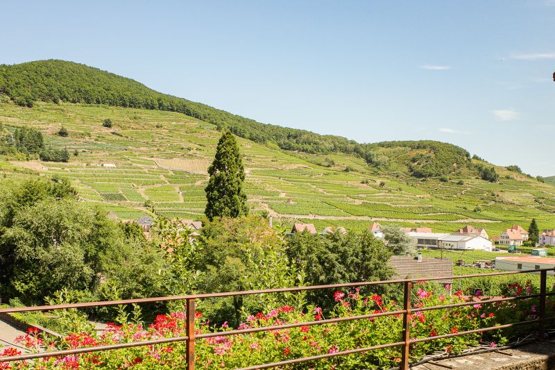 Wein Elsass