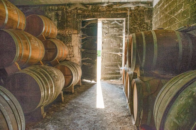 Weingut Cognac Jean Fillioux