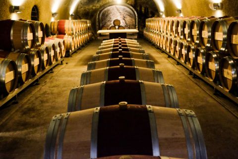 Weine Eisele Vineyard