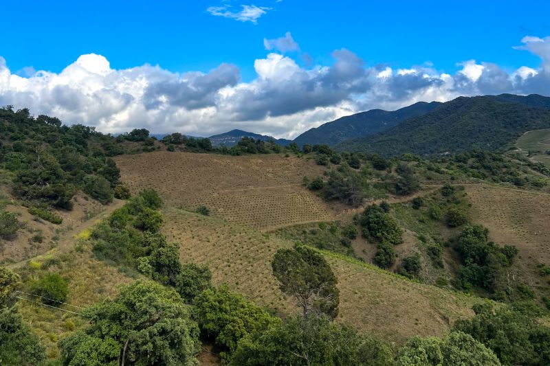 Martel Mas Doix
