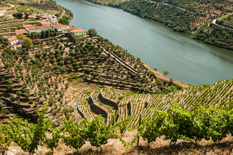 Weingut Quinta da Boavista